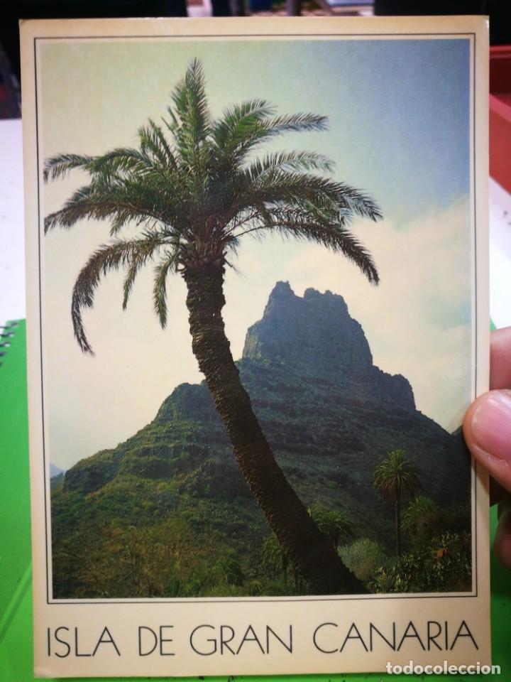 Postales: Postal Gran Canaria La Fortaleza Santa Luc&iacute;a La Vigilante Palmera Mudo testigo de memorables haza&ntilde;as