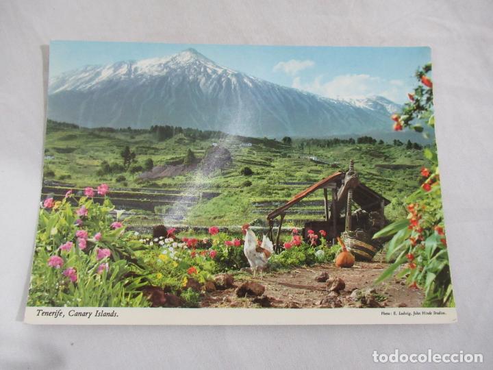 Postales: Tenerife - S/C - Foto 1