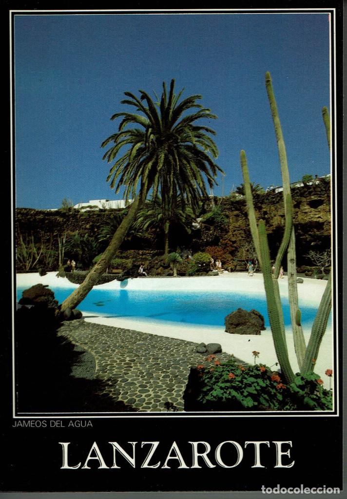 Postales: Lote 11 postales Lanzarote . sin circular - Foto 6