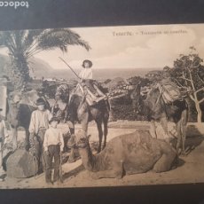 Postales: POSTAL TENERIFE. TRANSPORTE EN CAMELLOS. ISLAS CANARIAS. Lote 192054888