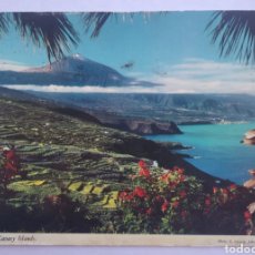 Postales: POSTAL TENERIFE ISLAS CANARIAS TEIDE JOHN HINDE AÑO 1976. Lote 194155457