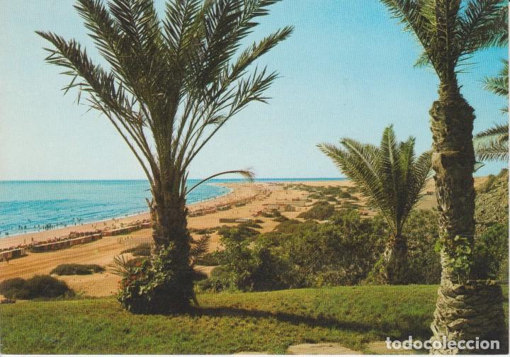 Postales: (10770) GRAN CANARIA. PLAYA DEL INGLES