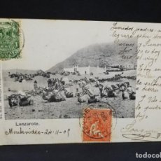 Postales: TARJETA POSTAL. LANZAROTE. 1905. CIRCULADA DE MONTEVIDEO A CADIZ.. Lote 195806851