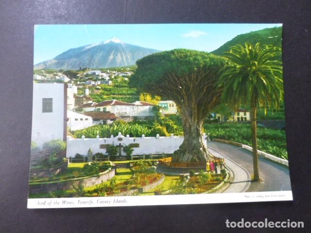 Postales: ICOD DE LOS VINOS TENERIFE - Foto 1