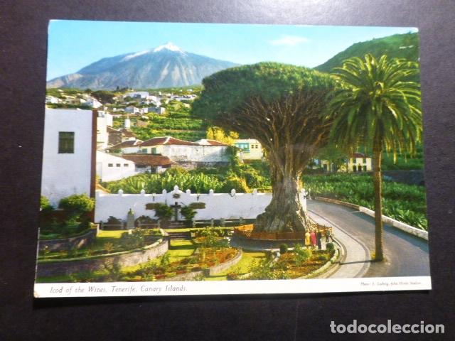 Postales: ICOD DE LOS VINOS TENERIFE - Foto 1