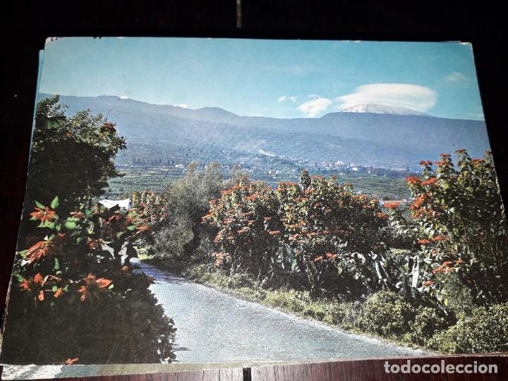 Postales: N&ordm; 37729 POSTAL TENERIFE - Foto 1