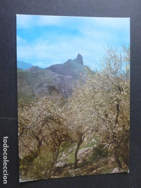 Postales: LAS PALMAS DE GRAN CANARIA - Foto 1