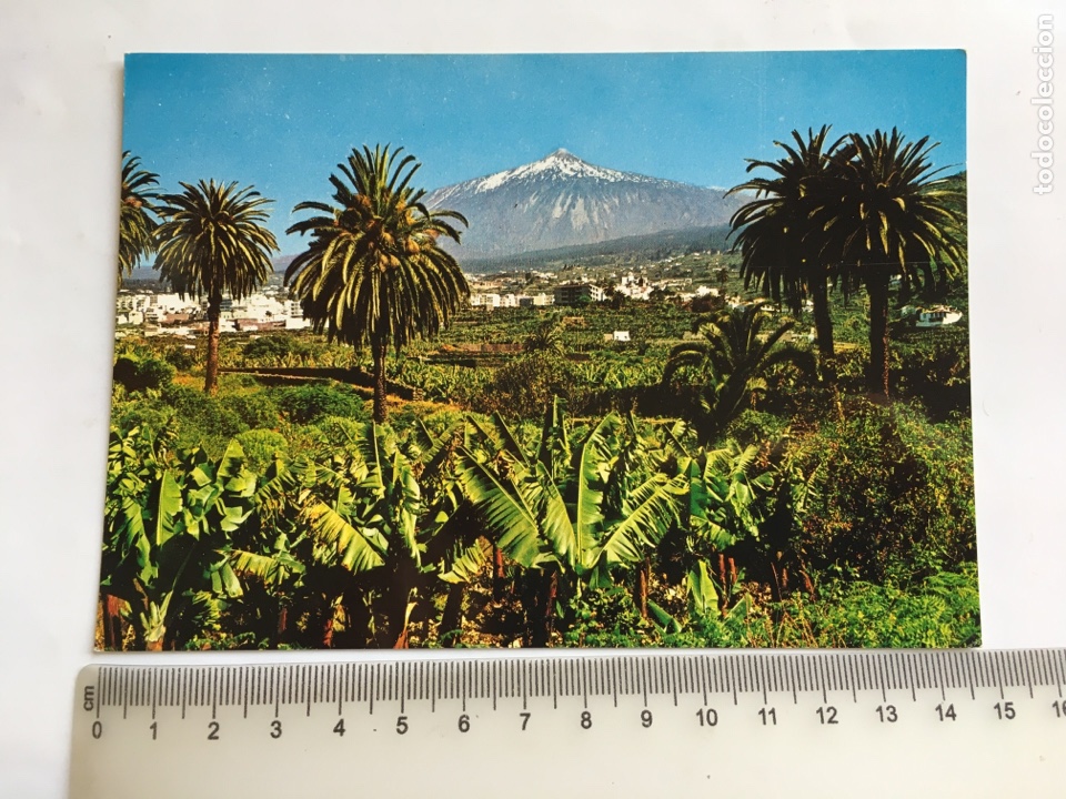 Postais: POSTAL. PUERTO DE LA CRUZ. EL TEIDE. EDICIONES ANIBARRO.