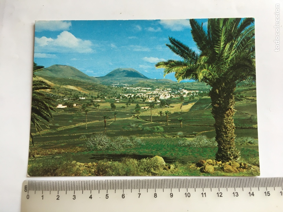 Postales: POSTAL. HAR&Iacute;A. LANZAROTE. VALLE DE LAS PALMERAS. COLECCI&Oacute;N LAS AFORTUNADAS.
