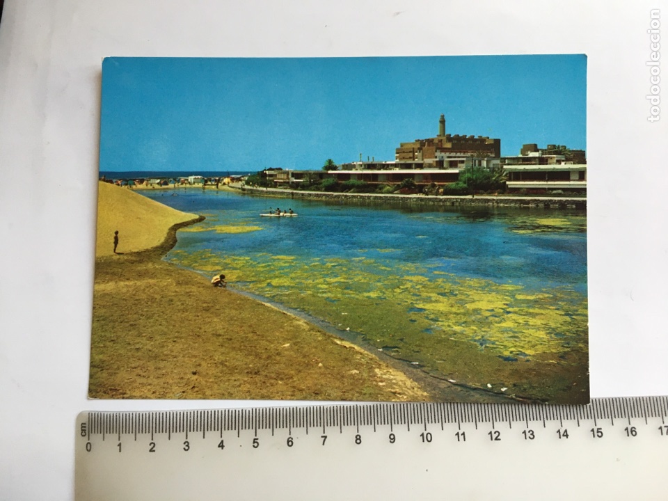Postales: POSTAL. GRAN CANARIA. CHARCA DE MASPALOMAS. COLECCI&Oacute;N LAS AFORTUNADAS.