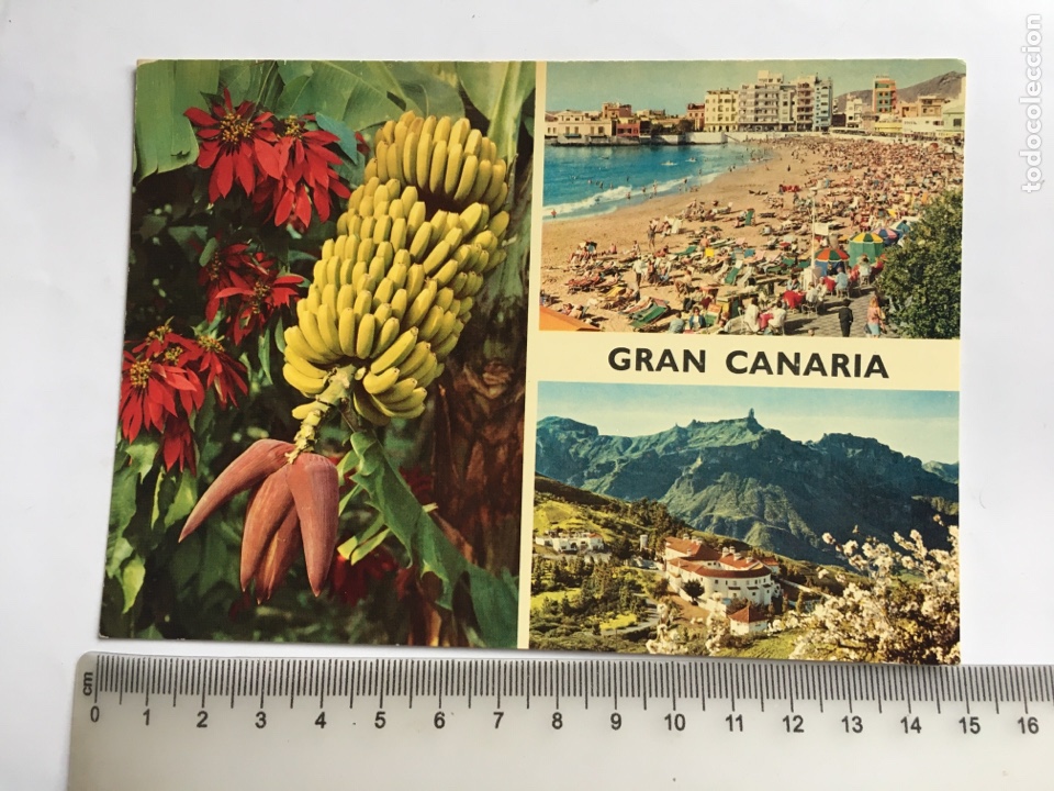 Postales: POSTAL. GRAN CANARIA. ASPECTOS VARIOS. BEN&Iacute;TEZ HERMANOS.
