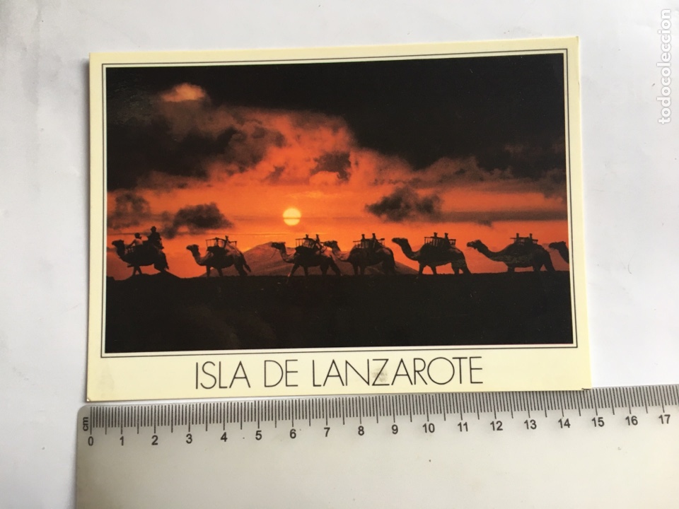 Postais: POSTAL. ISLAS CANARIAS. TIMANFAYA. CARAVANA DE CAMELLOS. IMAGINA, S. L.