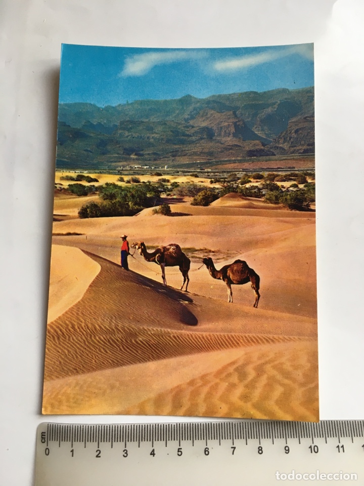 Postales: POSTAL. GRAN CANARIA. DESIERTO DE MASPALOMAS. GLOBAL TRADERS.
