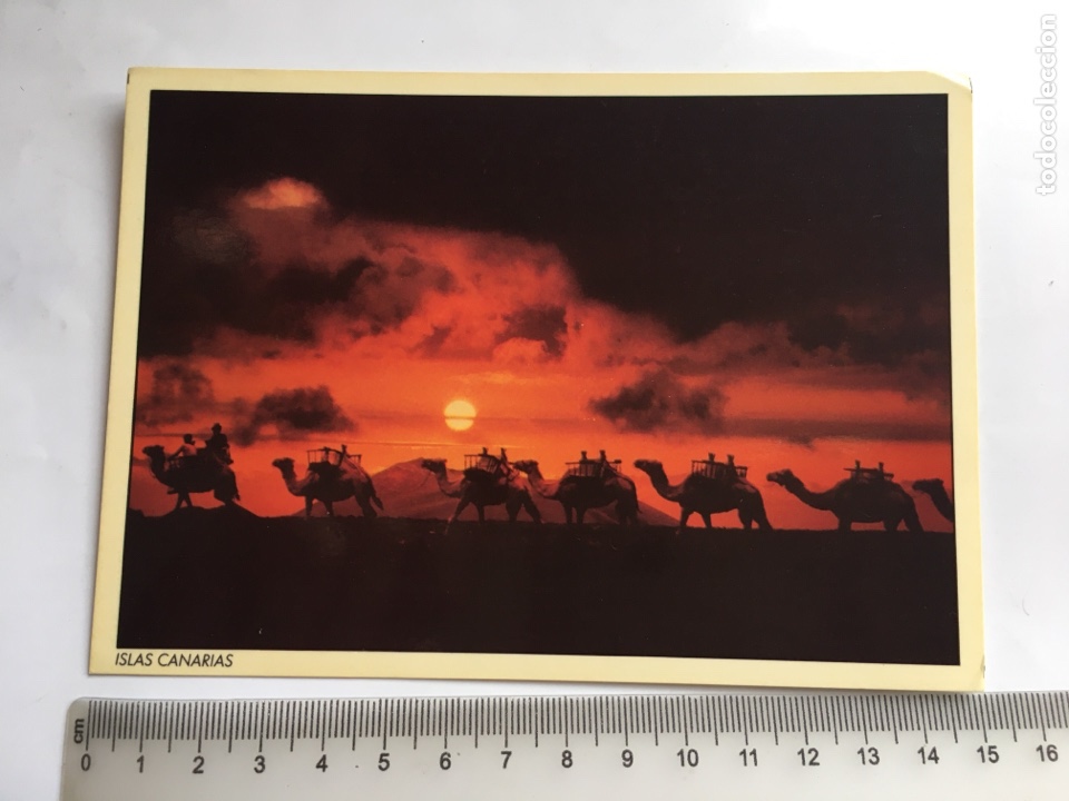 Postcards: POSTAL. ISLAS CANARIAS. TIMANFAYA. CARAVANA DE CAMELLOS. IMAGINA S. L.