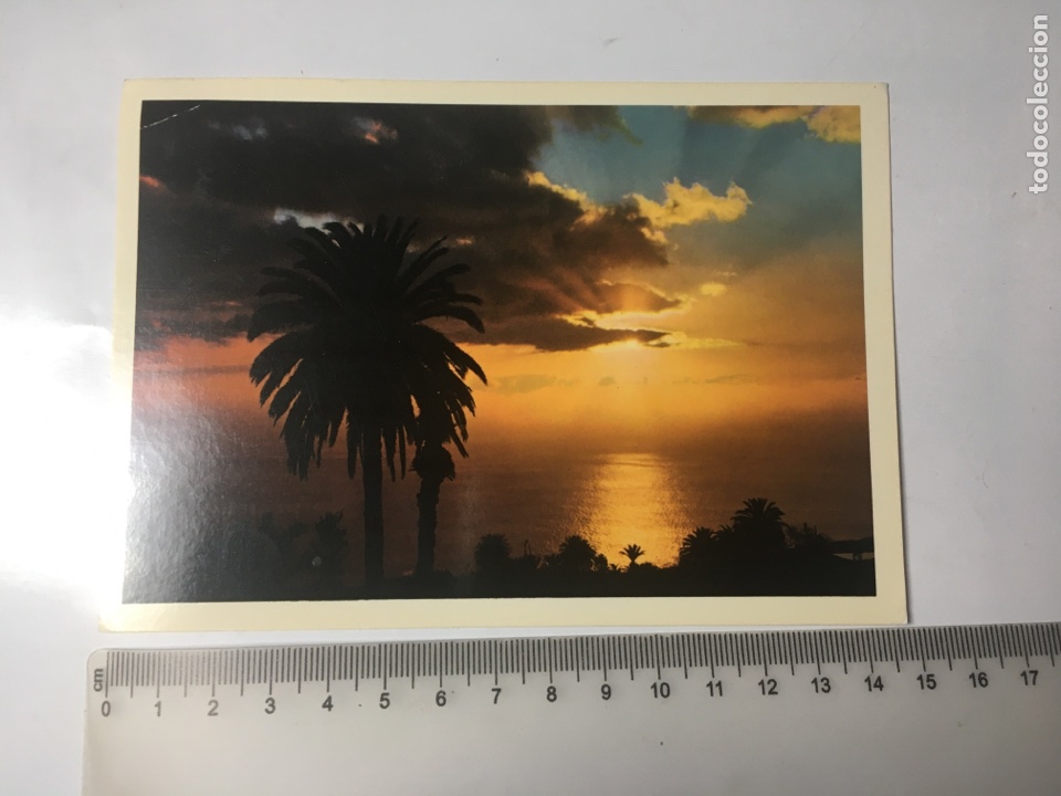 Postales: POSTAL. ISLAS CANARIAS. PUESTA DE SOL. JUAN &Aacute;LVAREZ LEON.