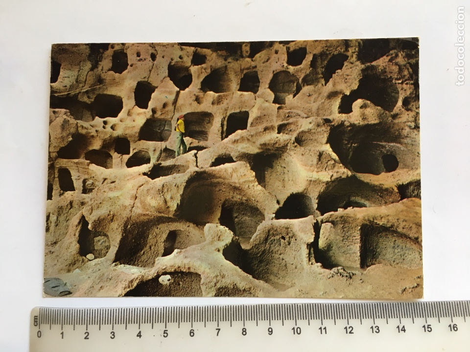 Postales: POSTAL. GRAN CANARIA. CEN&Oacute;BIO DE VELERON. GLOBAL TRADERS.