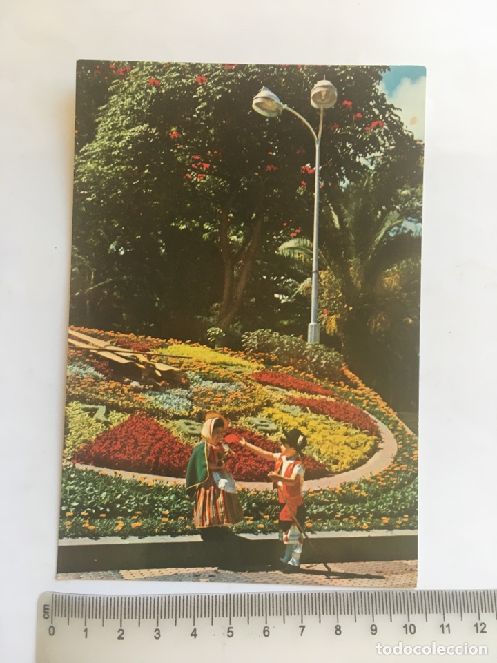 Cartes Postales: POSTAL. SANTA CRUZ DE TENERIFE. RELOJ DE FLORES. EDICIONES GASTEIZ.