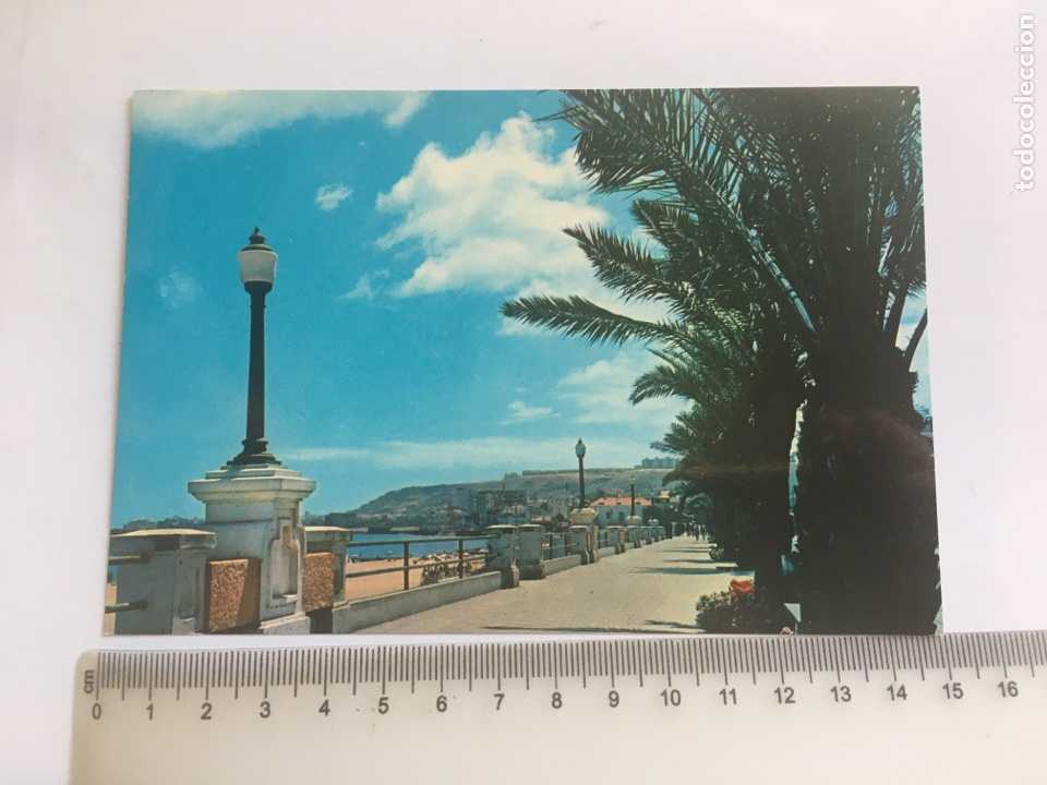 Postales: POSTAL. LAS PALMAS DE GRAN CANARIA. PASEO LEON Y CASTILLO. EDICIONES GASTEIZ.