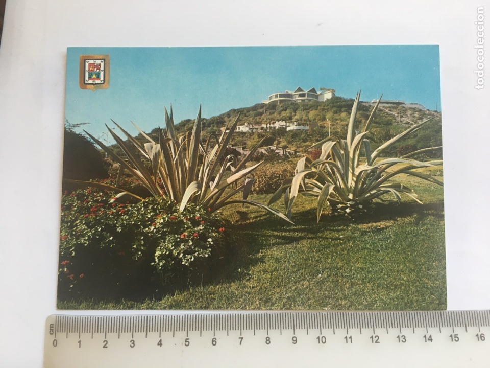 Postales: POSTAL. LAS PALMAS DE GRAN CANARIA. JARDINES DORAMAS Y ALTAVISTA. EDICIONES FISA.