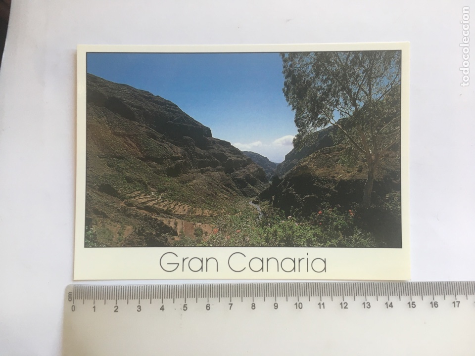 Cartes Postales: POSTAL. ISLAS CANARIAS. BARRANCO DE GUAYADEQUE. EDICION Y FOTO JUAN SOCORRO.
