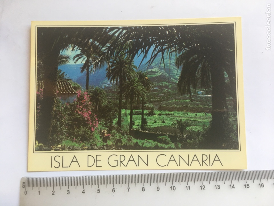Postales: POSTAL. ISLAS CANARIAS. VALLE DE AGAETE. IMAGINA S. L.