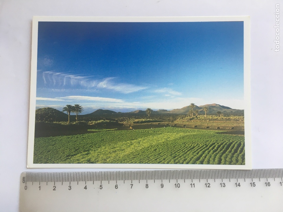 Postales: POSTAL. MONTA&Ntilde;AS DEL FUEGO. LANZAROTE. EDITION LANZAROTE.