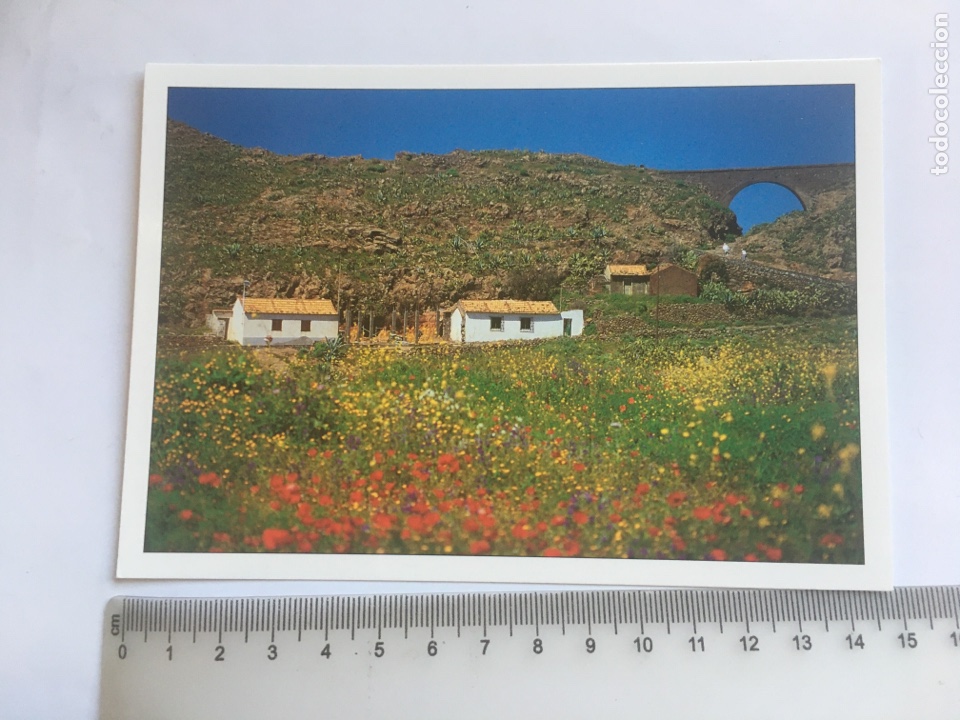 Postales: POSTAL. ARURE. LA GOMERA. EDICION ANDY. - Foto 1