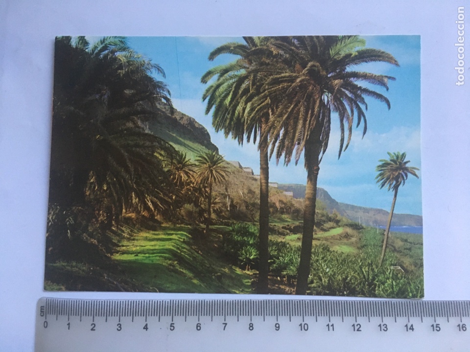 Postales: POSTAL. GRAN CANARIA. RINC&Oacute;N CANARIO. COLECCI&Oacute;N LAS AFORTUNADAS.