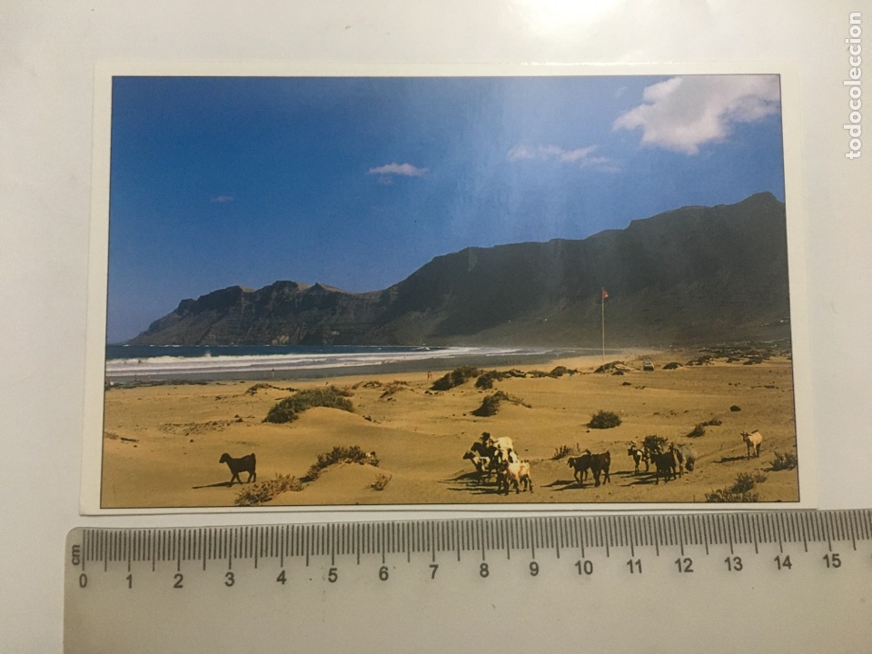 Postales: POSTAL. FAMARA. LANZAROTE. ART - EDITION.