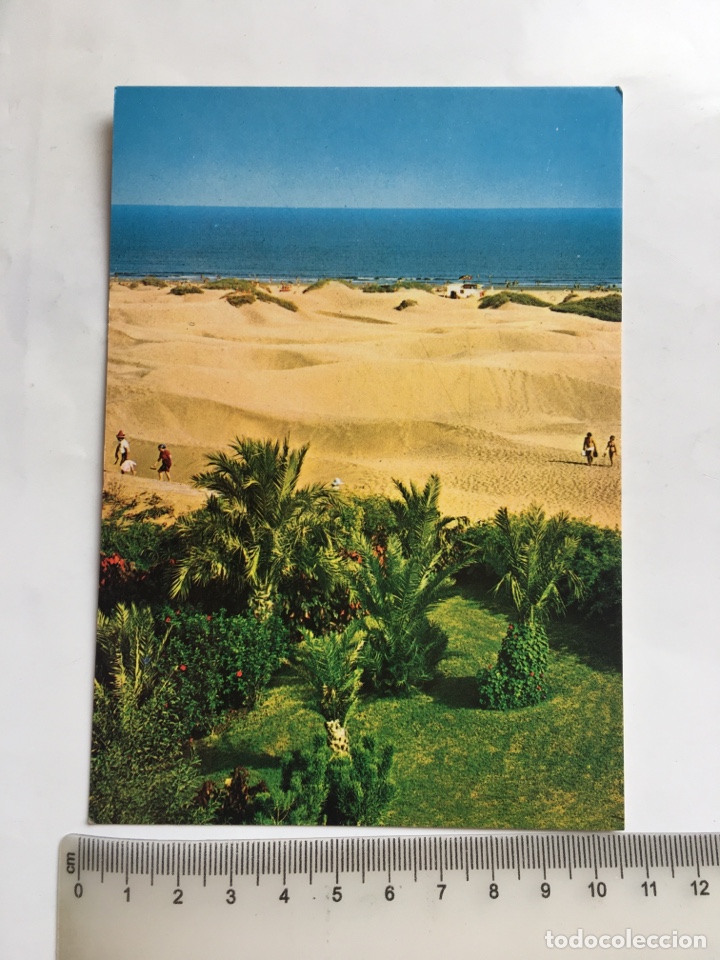 Postales: POSTAL. DUNAS MASPALOMAS. EDICIONES ISLAS. - Foto 1