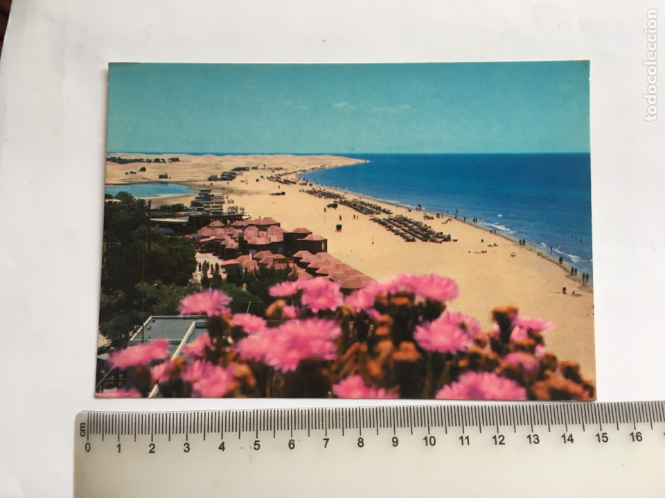 Postales: POSTAL. GRAN CANARIA. VISTA PARCIAL PLAYA DE MASPALOMAS. ZERKOWITZ.