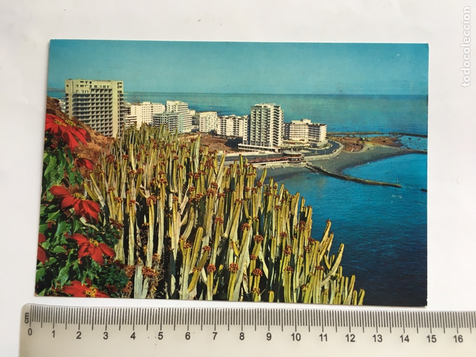 Cartes Postales: POSTAL. PUERTO DE LA CRUZ. VISTA PANOR&Aacute;MICA. EDICIONES GASTEIZ.