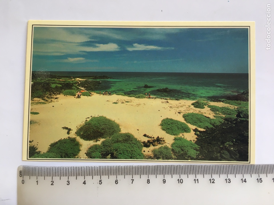 Cartes Postales: POSTAL. ORZOLA. PLAYAS DE ARENA BLANCA. ISLAS CANARIAS.