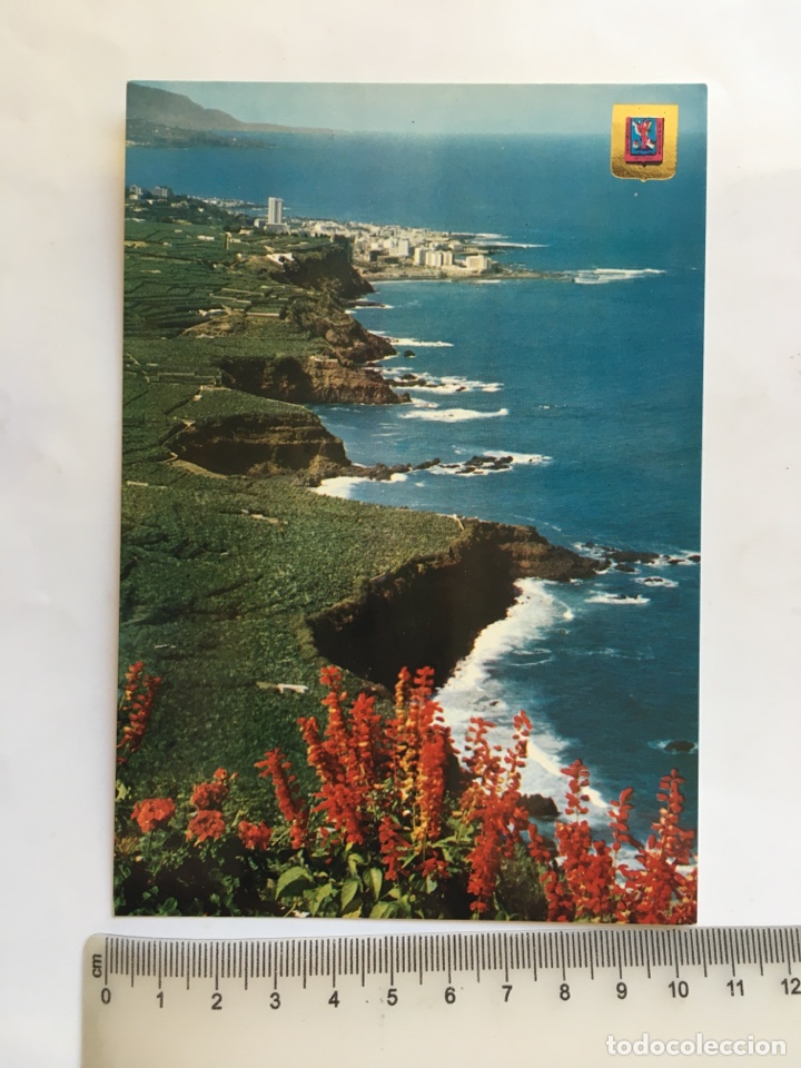 Cartes Postales: POSTAL. LA OROTAVA. TENERIFE. VISTA DEL VALLE Y PUERTO DE LA CRUZ. EDICIONES FISA.