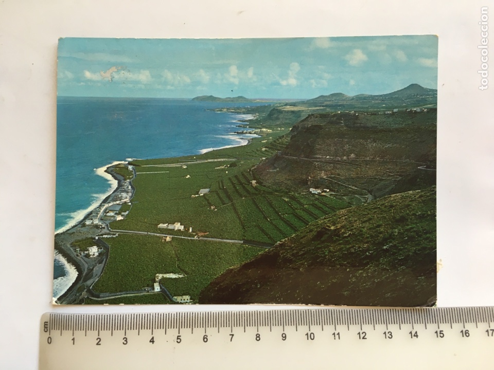 Postales: POSTAL. PLANTACION DE PL&Aacute;TANOS EN BA&Ntilde;ADEROS. NORTE DE GRAN CANARIA. EDICIONES SICILIA V
