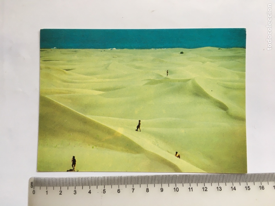Postales: POSTAL. GRAN CANARIA. DUNAS DE MASPALOMAS. EDITORAL EVEREST.