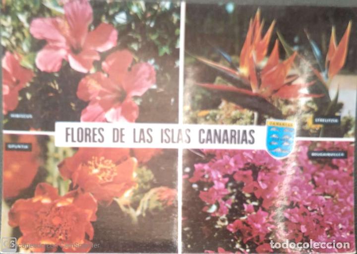 Postcards: Islas Canarias. 1171 Flores. Global Traders. Usada. Color