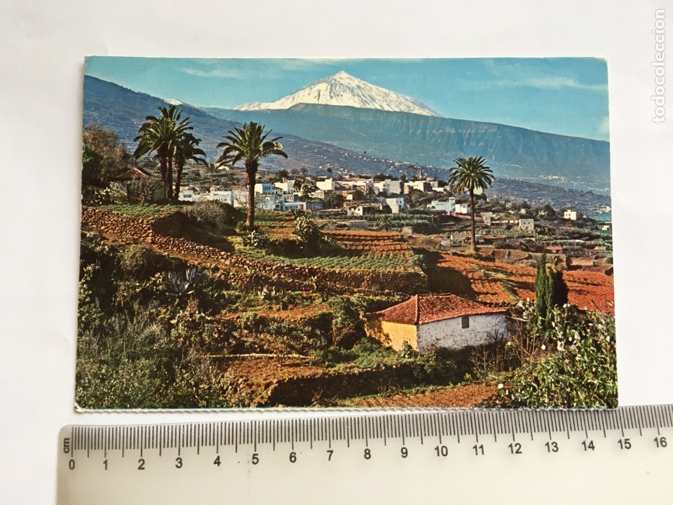 Postais: POSTAL. VALLE DE LA OROTAVA Y TEIDE. FARDI.