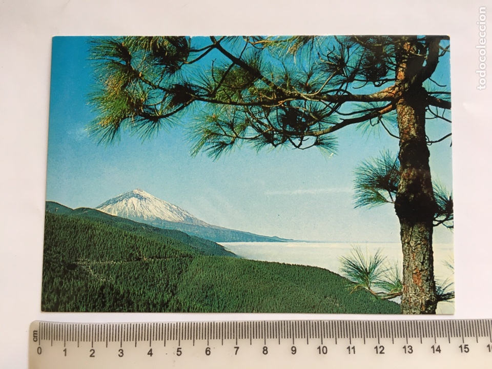 Postais: POSTAL. TEIDE. VEGETACI&Oacute;N AL PIE DEL VOLC&Aacute;N. EURIMPEX.