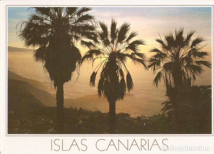 Postales: POSTAL ISLAS CANARIAS G3 - Foto 1
