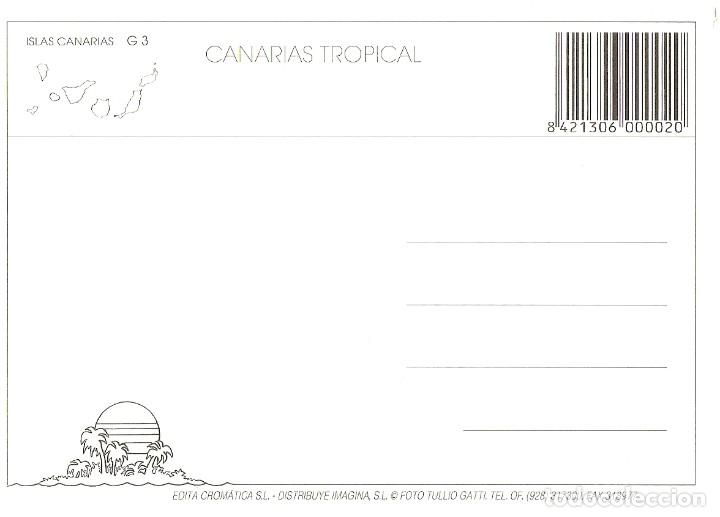 Postales: POSTAL ISLAS CANARIAS G3 - Foto 2