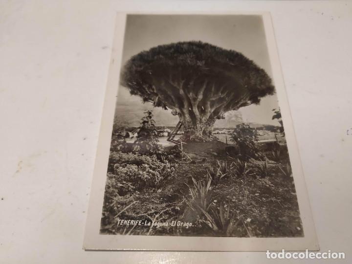 Postales: TENERIFE - POSTAL LA LAGUNA - EL DRAGO - Foto 1