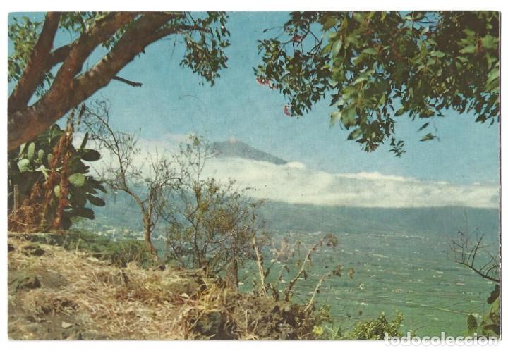 Postkarten: TENERIFE.- N&ordm; 20, VALLE DE LA OROTAVA Y TEIDE- SIN CIRCULAR (A&Ntilde;OS 60)