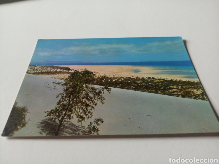 Postales: Fuerteventura - Foto 1