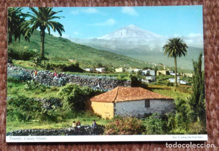 Postales: SANTA URSULA - TENERIFE - Foto 1