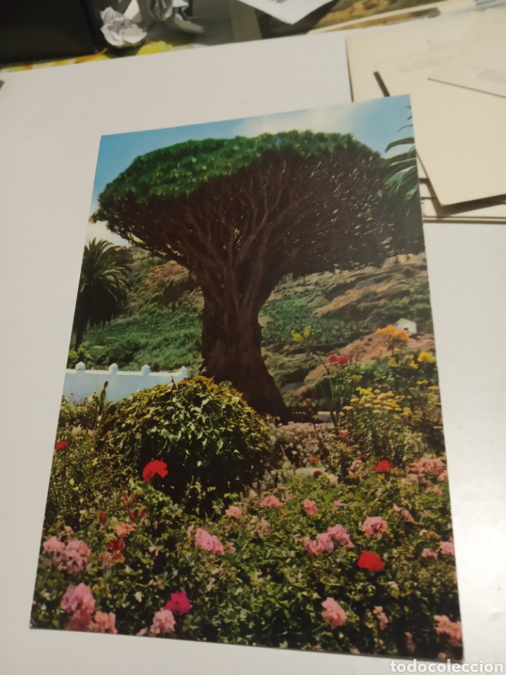 Postales: Drago - Foto 1