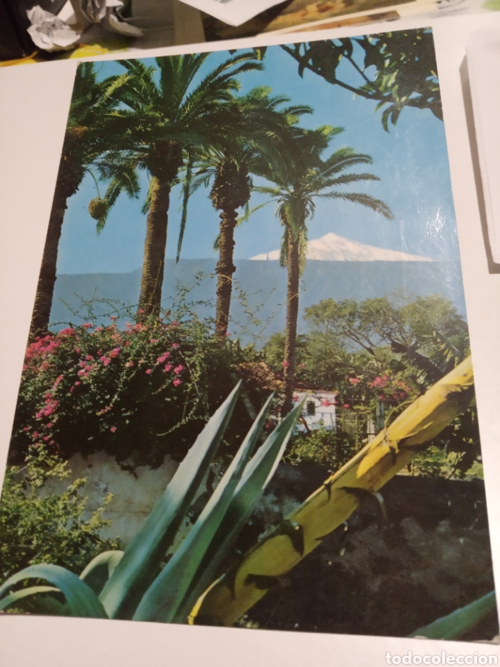 Postales: El Teide - Foto 1