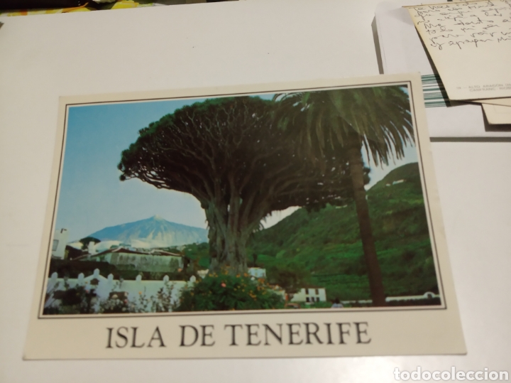 Postales: Drago - Foto 1