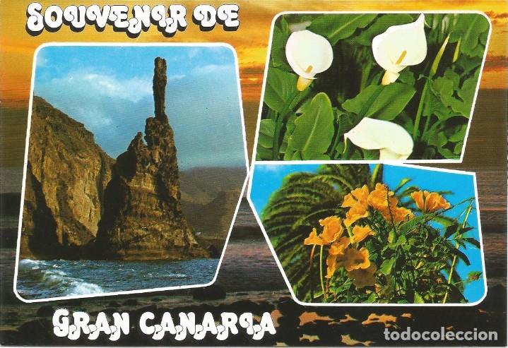 Postales: [POSTAL] Souvenir de Gran Canaria (Canarias) (circulada)