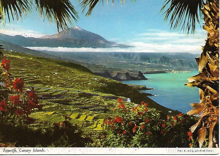 Postales: TENERIFE - VISTA DEL TEIDE - Foto 1